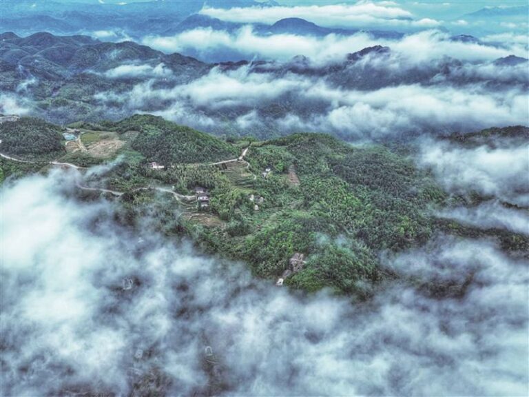 石后雲海