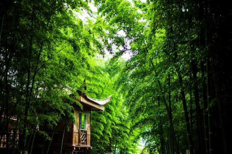 北川天然優美環境家歷史文化成為豐富旅遊資源!(北川融媒體提供)