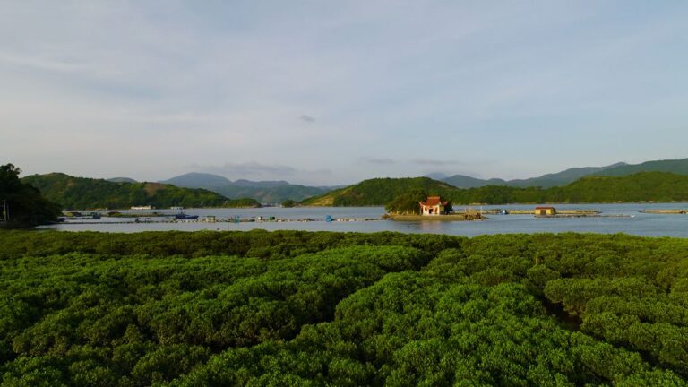 福鼎商貿、海防、媽祖等文化與海洋交織
