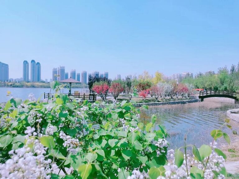 微信图片_20240415141438