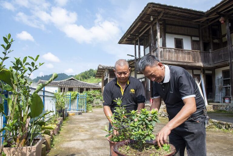 專業農技人員指導村民中草藥種植管理