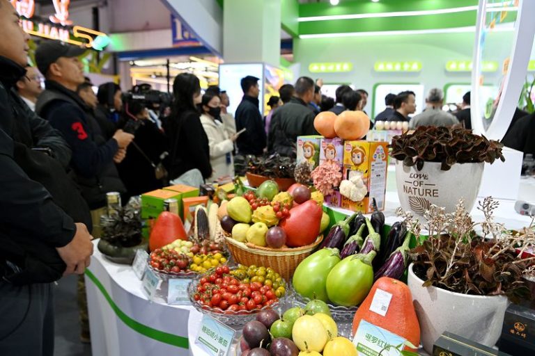 圖為博覽會漳州農業展區吸引不少嘉賓前來參觀。 中新社