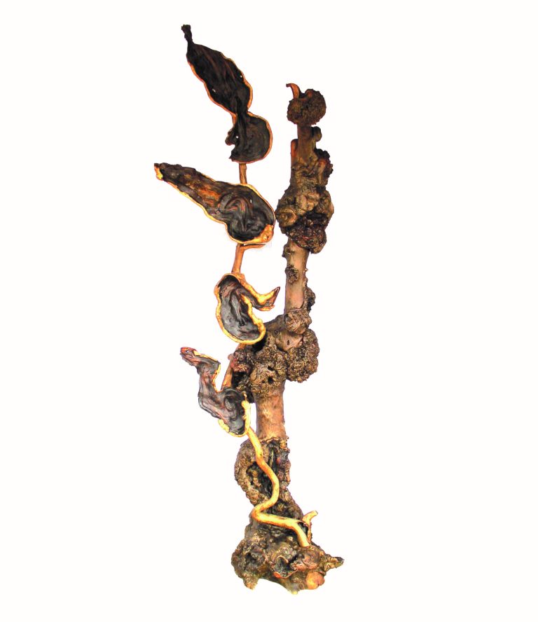 圖為葉石和的根藝作品《和諧發展》，遠看似蓮藕、荷花、荷葉向上生長。
