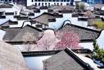 穿越時光的浪漫 當古建邂逅春光