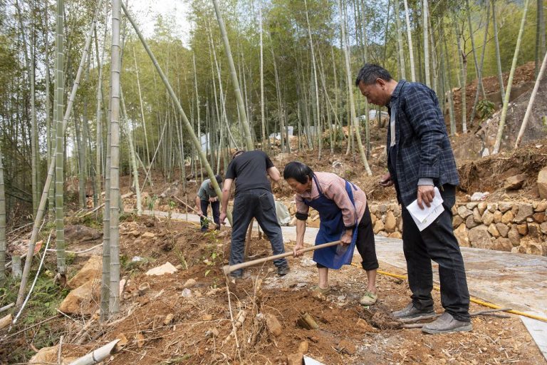 德化文旅大升級 山水小鎮攜手共創新亮點