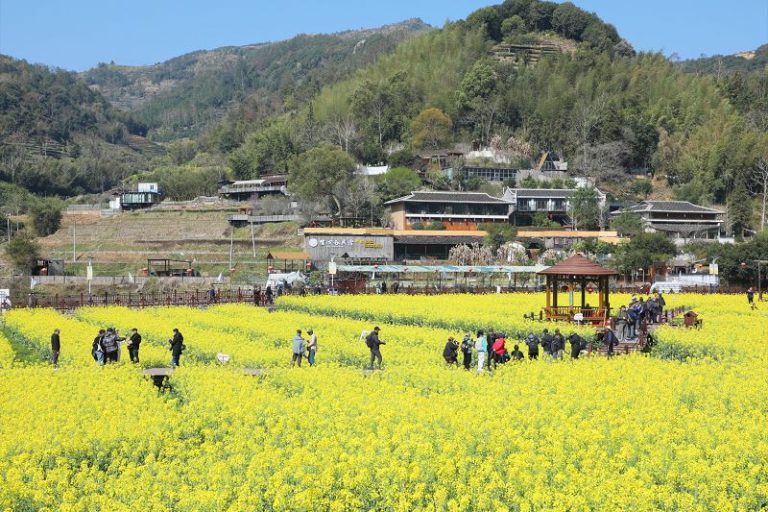 共繪鄉村和美 福建霞浦畬族鄉深化閩台鄉建鄉創合作