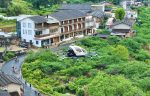 福州鄉村遊 銀齡康養專線首發