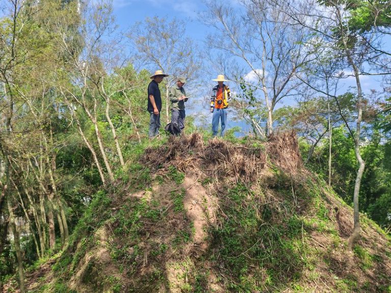 福建霞浦城區發現古代烽燧遺址
