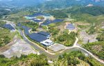 福建屏南高山花卉綻放「致富花」