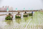 「舌尖上」的中國綠色革命