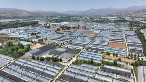 青海湟中 冷涼蔬菜產業助農增收