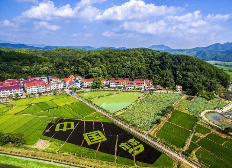 「沙縣小吃第一村」的文明味道