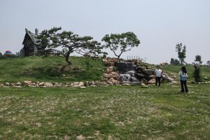 遼寧彰武沙窩子煥新顏