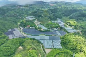 德化三班鎮 閒置資產「活」起來 共同富裕「跑」起來