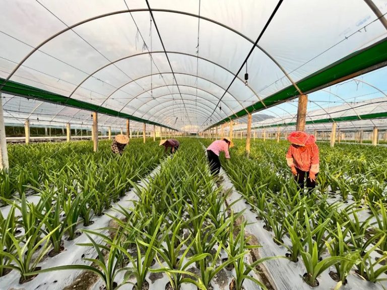 福建最大 木蘭溪流域「注定紅」