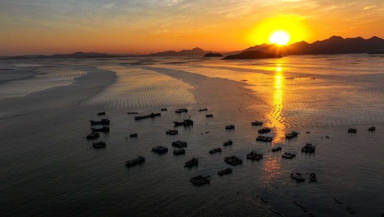 奔赴山海之約 福建鄉村旅遊煥新生
