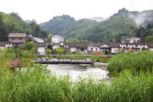 綠水青山間感受三峽庫區「綠」動