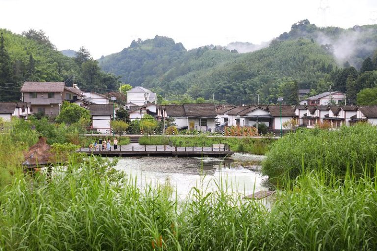 綠水青山間感受三峽庫區「綠」動