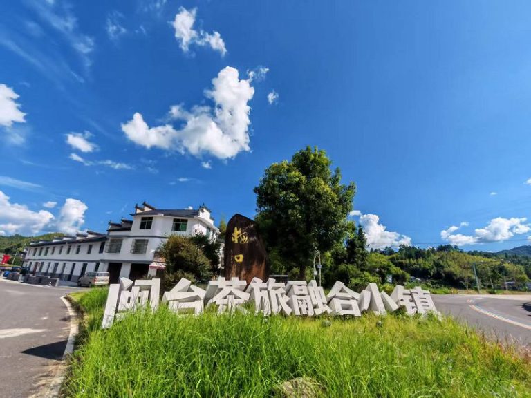 閩台茶緣結泰寧 鄉創融合兩岸情