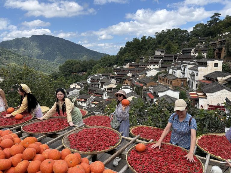 9月23日，江西婺源篁嶺古村，遊客在曬架前打卡拍照。中新社