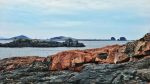 福鼎漁井景區夏日旅遊 奏響山海新樂章