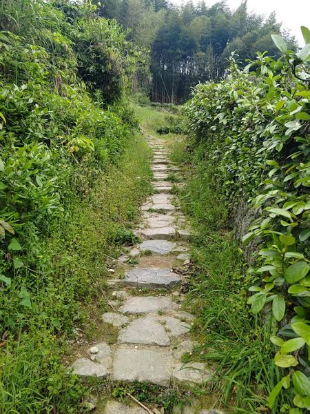 【福鼎專刊】大山古道