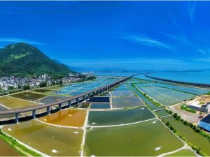 溫福鐵路為福寧跑出山海協作加速度