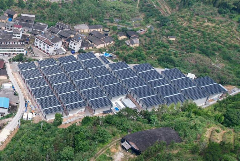 「中國銀耳第一村」走出富民興業路