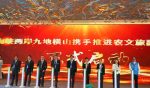 同名心更近 同根情更濃