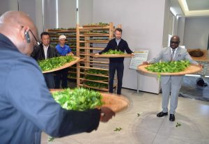 多國使節武夷山品茗話發展