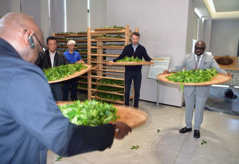 多國使節武夷山品茗話發展