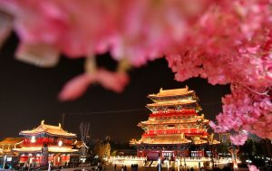 河北滄州 流光溢彩大運河畔