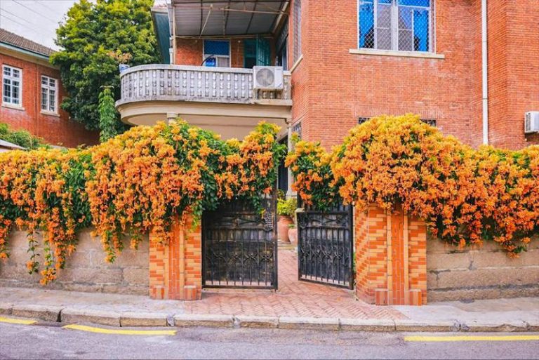 在廈門打卡影視劇帶火的「網紅點」