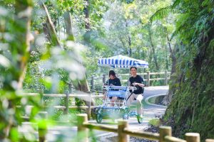 德化城郊強鎮擎旗奮進 龍門躍步擘畫新篇