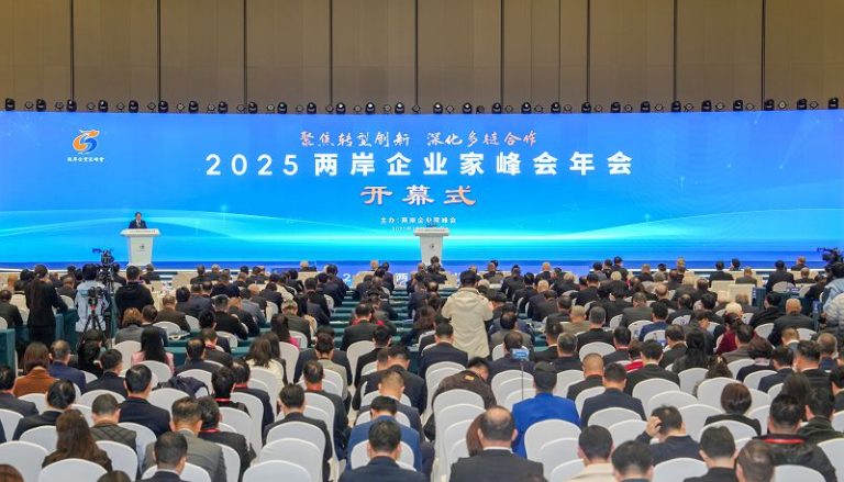 2025兩岸企業家峰會年會在南京舉行 王滬寧出席開幕式並致辭