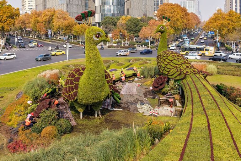 南京鼓樓「孔雀」換冬裝