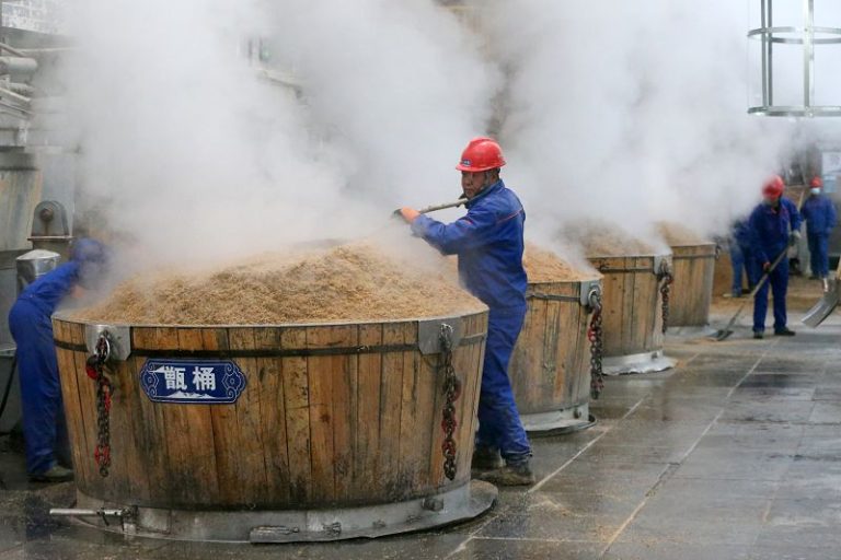 青海青稞酒傳統釀造技藝活態傳承六百年