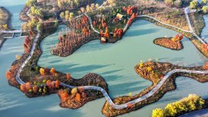 冬林不寂 色彩未眠