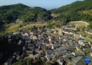 福建桂峰村 古道飄來舊茶香，古村曬出新「風光」