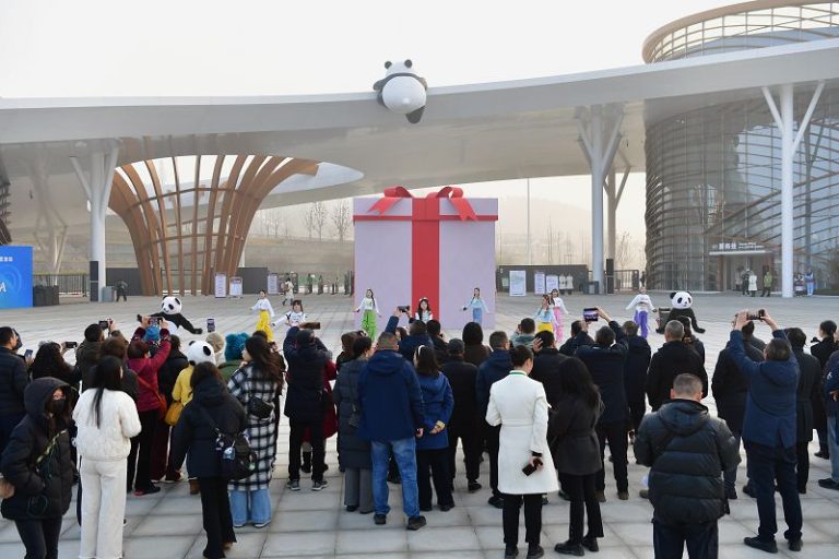 熊貓「新家」首日迎客！綿陽中華大熊貓苑開啟試運營