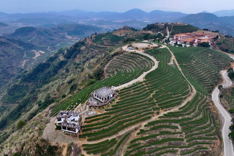 福建連江登高望茶山 風光如畫卷