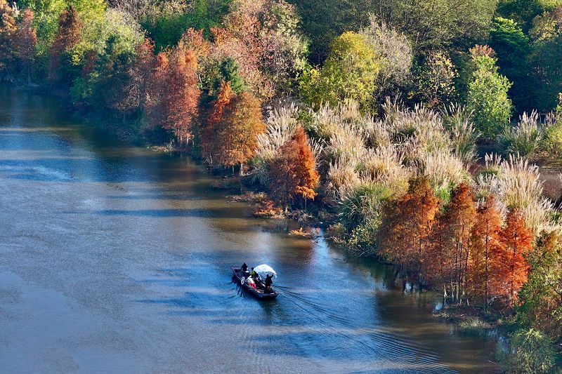 福建福州 濕地公園美如畫