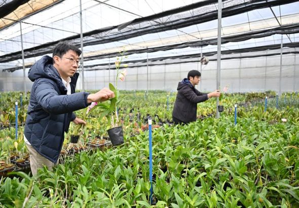 F697227b70cf2702516273c49