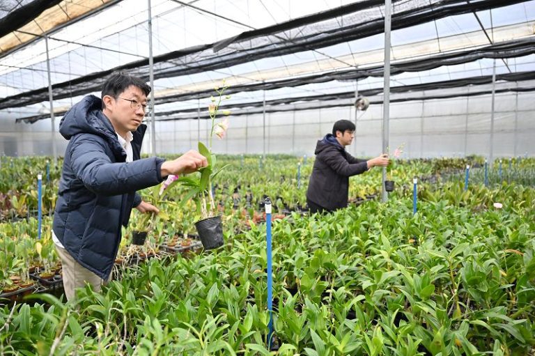 F697227b70cf2702516273c49