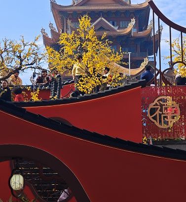 F69770cd20cf2702516279e3a