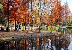 U969P4T1D578529F3455DT20260116110722