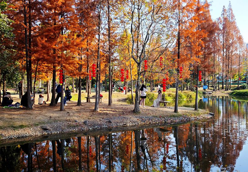 U969P4T1D578529F3455DT20260116110722