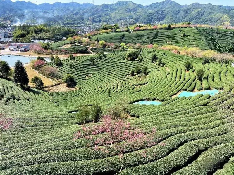 a075a3b783114300b1c123563c9258d6