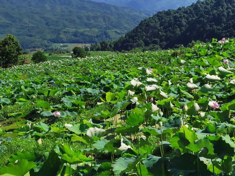 f19660df67228701d0e9d77a66862d0c5027