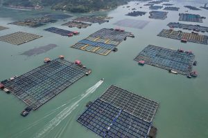 寧德產業「開花」 山海共興